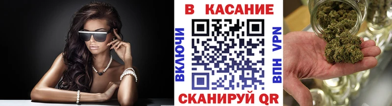 A PVP Тамбов