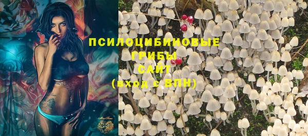 мдма Богородск