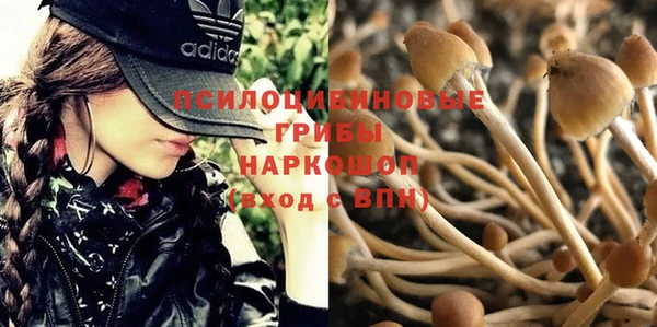 герыч Богданович