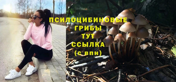 кокс Богородицк