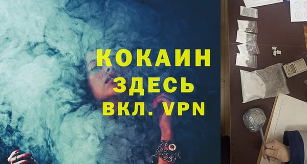 кокс Богородицк