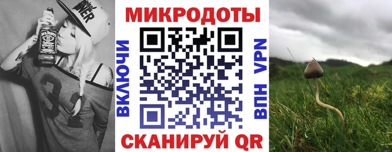 Псилоцибиновые грибы ЛСД  мега ссылка  Тамбов 